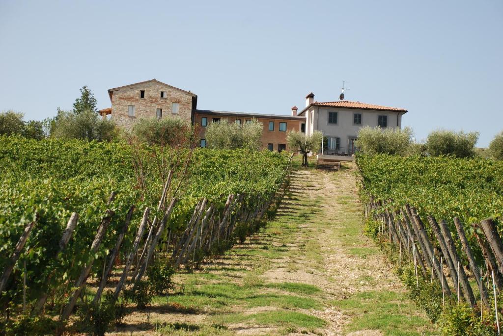 Roccafiore Spa & Resort Todi Exterior foto